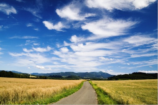 Road - Mt.Lysa in far, Beskydy Mts., Czech rep.,3rd July 2007