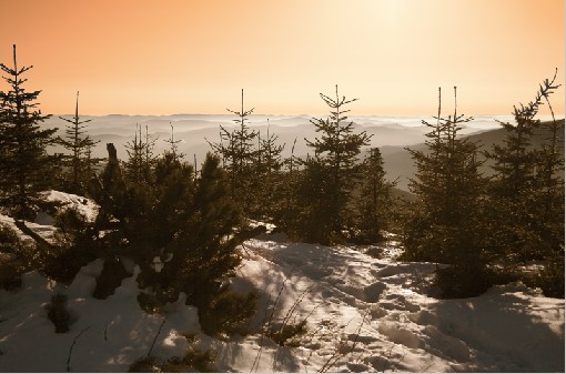 Beskydy Mts. - Czech rep., 27th December 2007