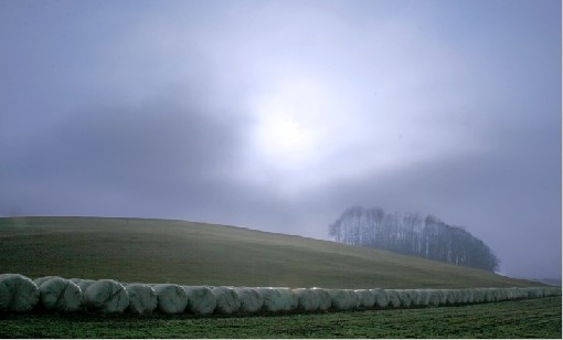 Hay Grass - Stare Mesto, Frydek-Mistek, 10th February 2008