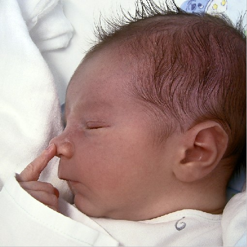 Luki, 10 hours old - Frydek-Mistek, Czech rep., 10th June 2004