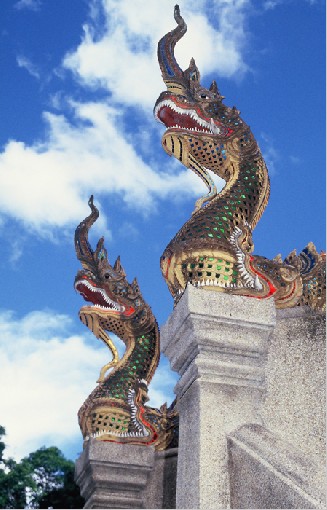 Dragons - Thailand, June 1999