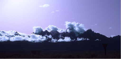 Grand Teton N.P. - Wyoming, USA, July 1992