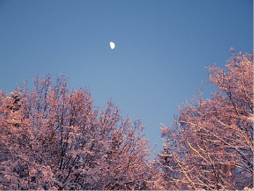 Moon in the day - Myslik,Beskydy Mts.,8th January 2009